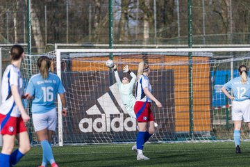 Bild 138 - F Hamburger SV 3 - Blau-Weiss 96 : Ergebnis: 5:1